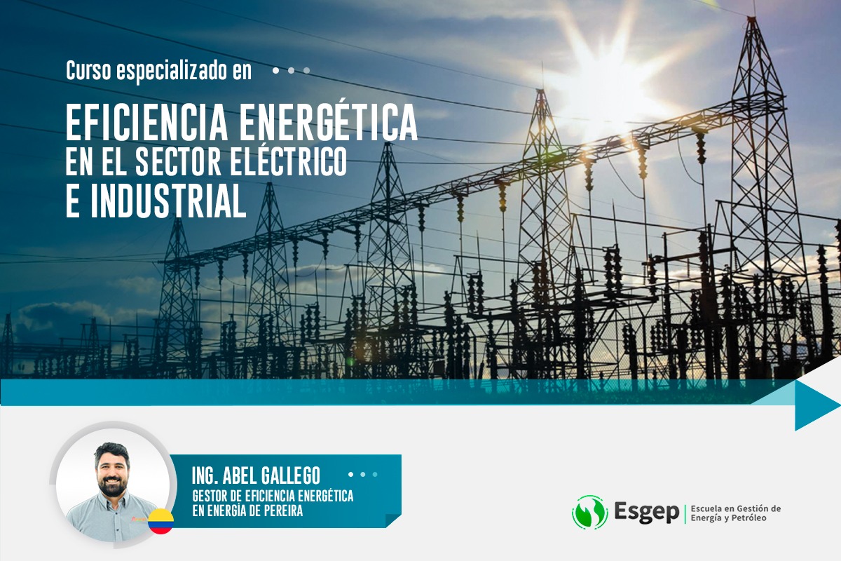 CURSO ESPECIALIZADO EN EFICIENCIA ENERGéTICA EN EL SECTOR ELéCTRICO E INDUSTRIAL