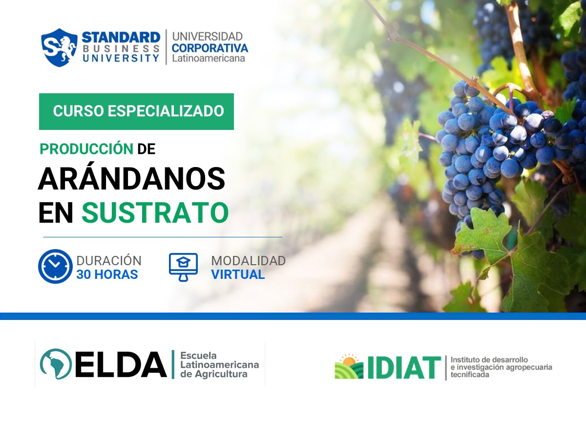 CURSO ESPECIALIZADO EN PRODUCCIÓN DE ARÁNDANOS EN SUSTRATO