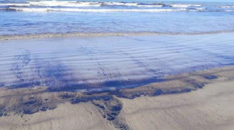 Un derrame de hidrocarburos afecta una playa en el norte de Venezuela, según activistas