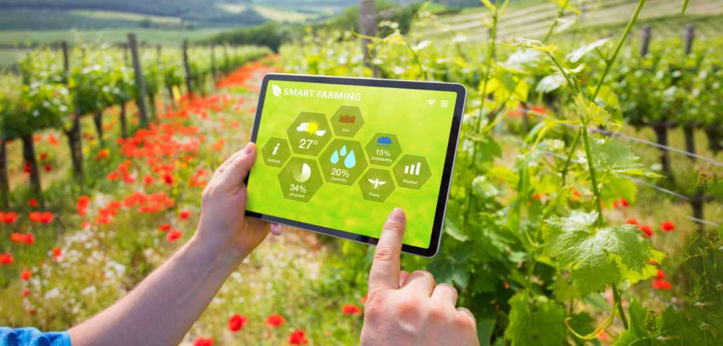 Cómo las Tecnologías y Prácticas Agrícolas Modernas Impulsan el Desarrollo Agrícola
