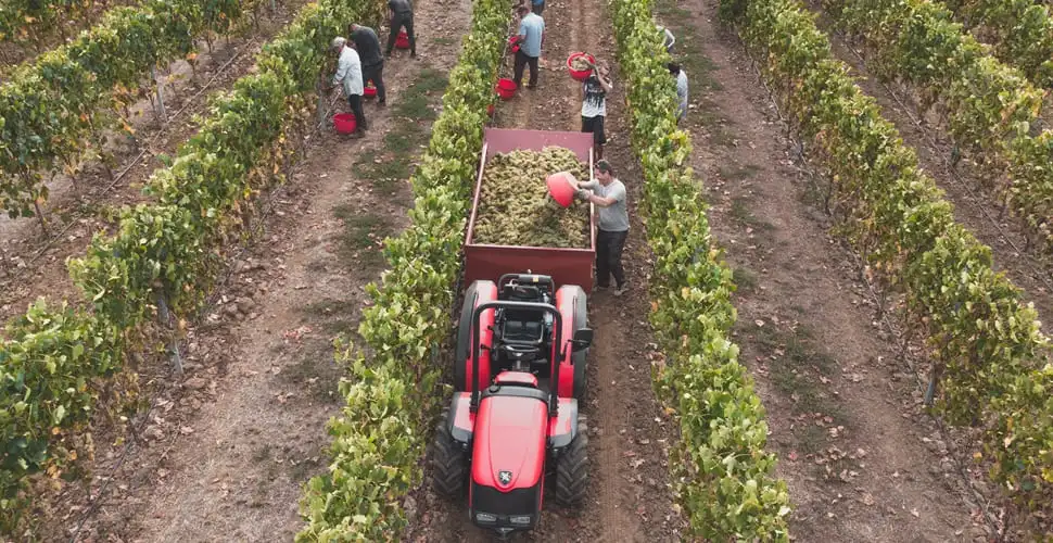La cosecha agrícola en Brasil subirá un 10.2 % en 2025