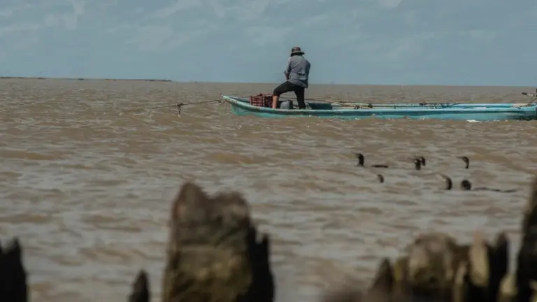 Derrames impunes: imágenes satelitales revelan seis años de derrames de petróleo no reportados por las empresas en el Golfo de México