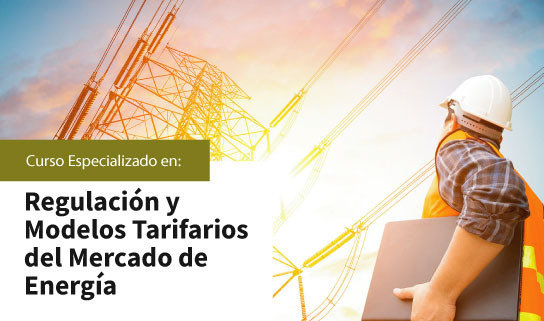CURSO ESPECIALIZADO EN REGULACIóN Y MODELOS TARIFARIOS DEL MERCADO DE ENERGíA