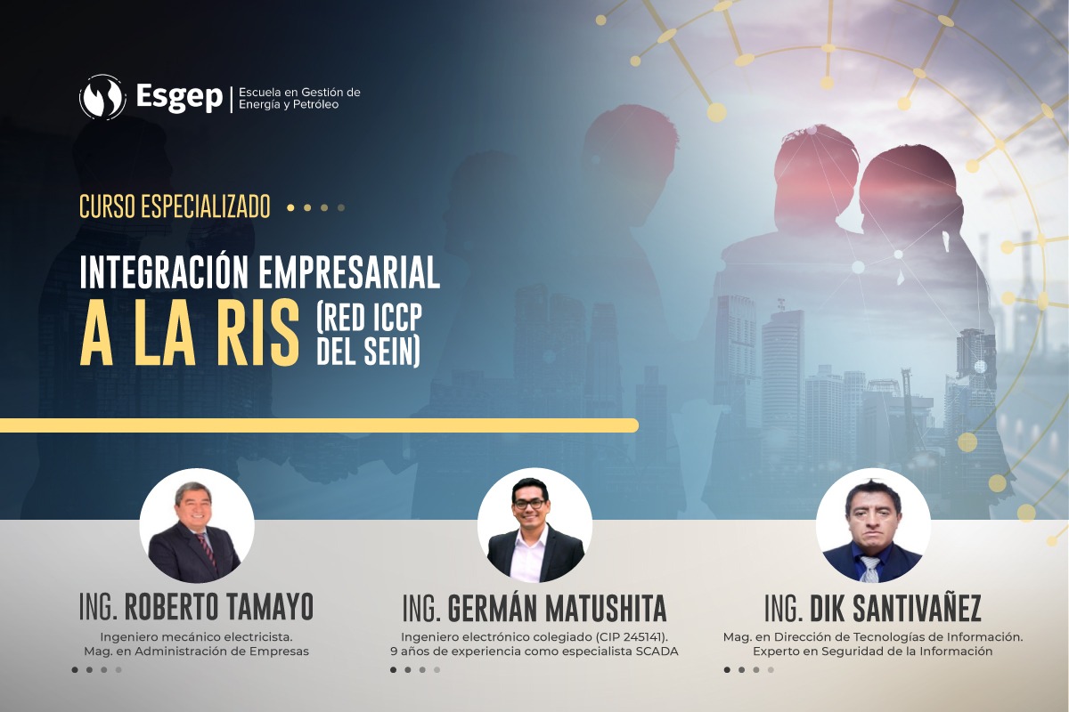 CURSO ESPECIALIZADO EN INTEGRACIóN EMPRESARIAL A LA RIS (RED ICCP DEL SEIN)