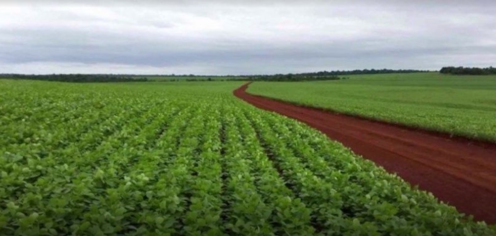 El crecimiento económico de Paraguay: Impulsado por el Agro y la Energía