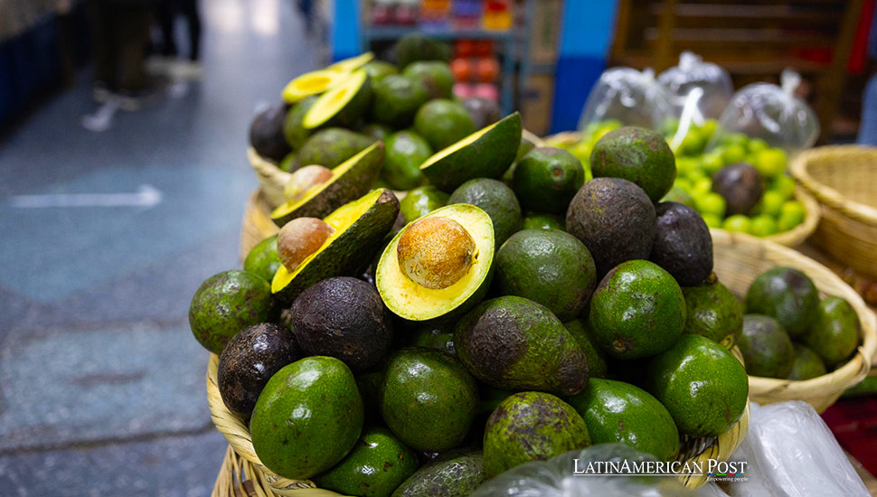MÉXICO: México y EE.UU. anuncian modelo de seguridad para inspectores agrícolas