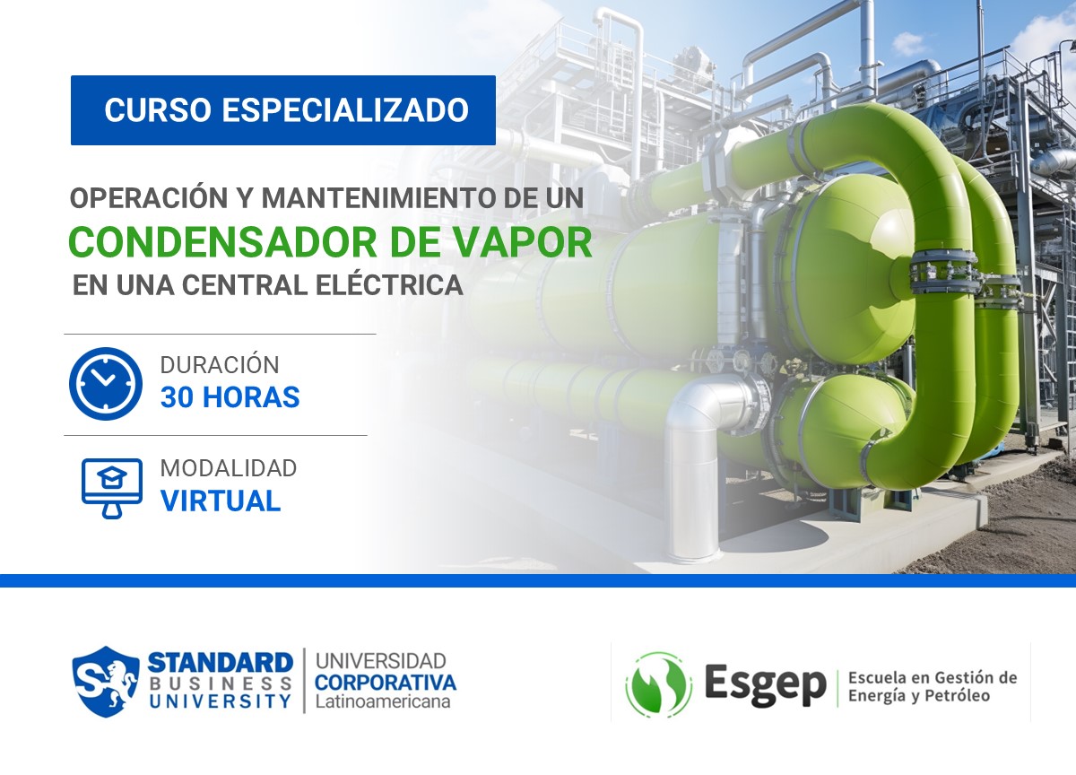 CURSO ESPECIALIZADO EN OPERACIóN Y MANTENIMIENTO DE UN CONDENSADOR DE VAPOR EN UNA CENTRAL ELéCTRICA