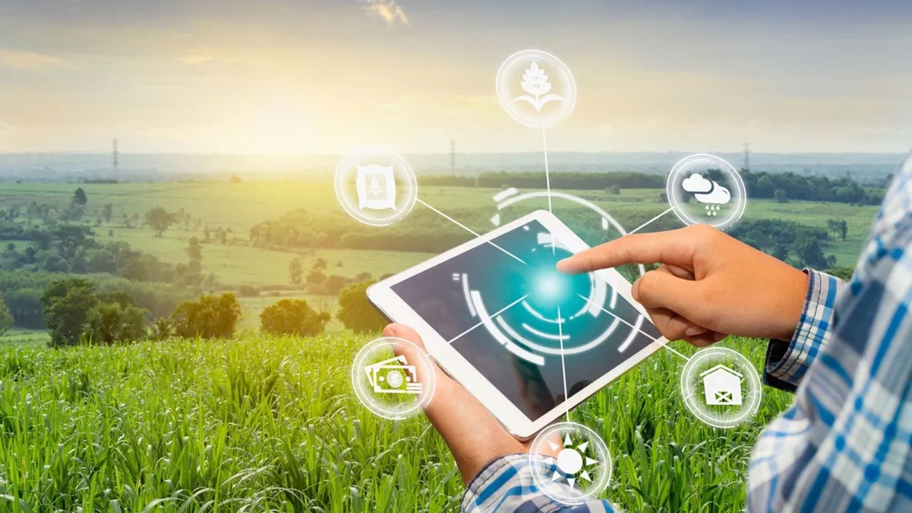 CONSULTORíAS ESPECIALIZADO EN DIGITAL