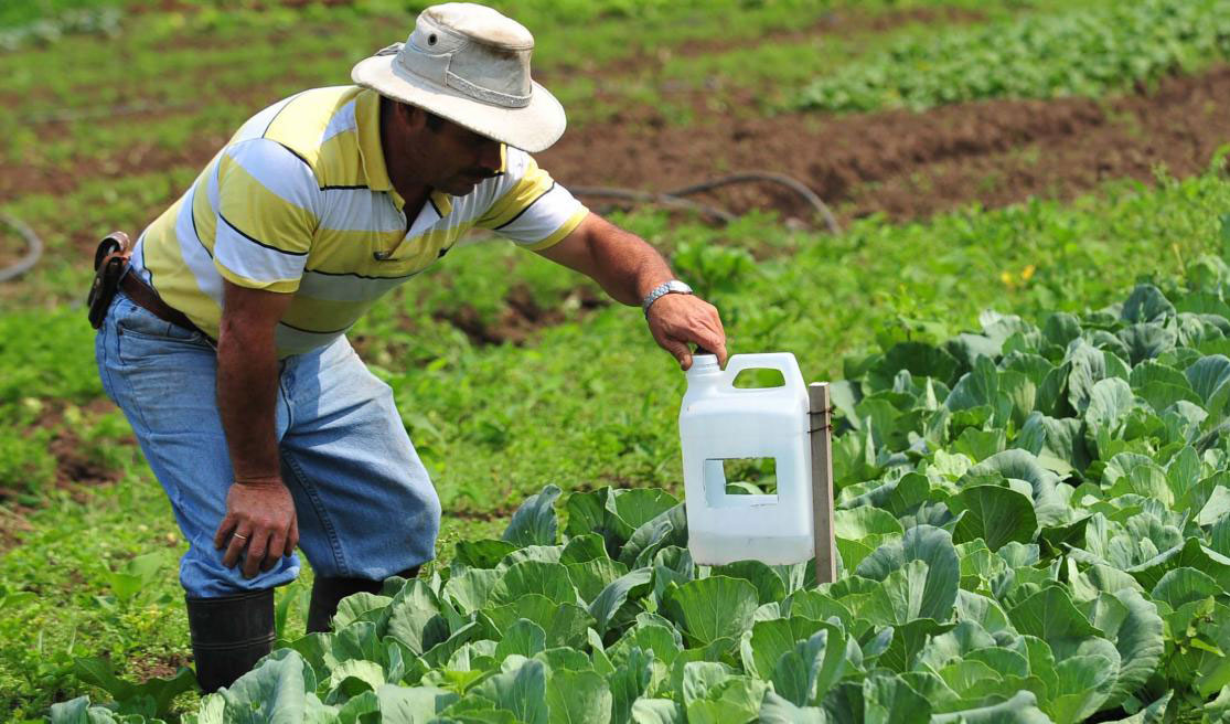 REPUBLICA DOMINICANA; Inicia el Registro Nacional de Productores Agropecuarios