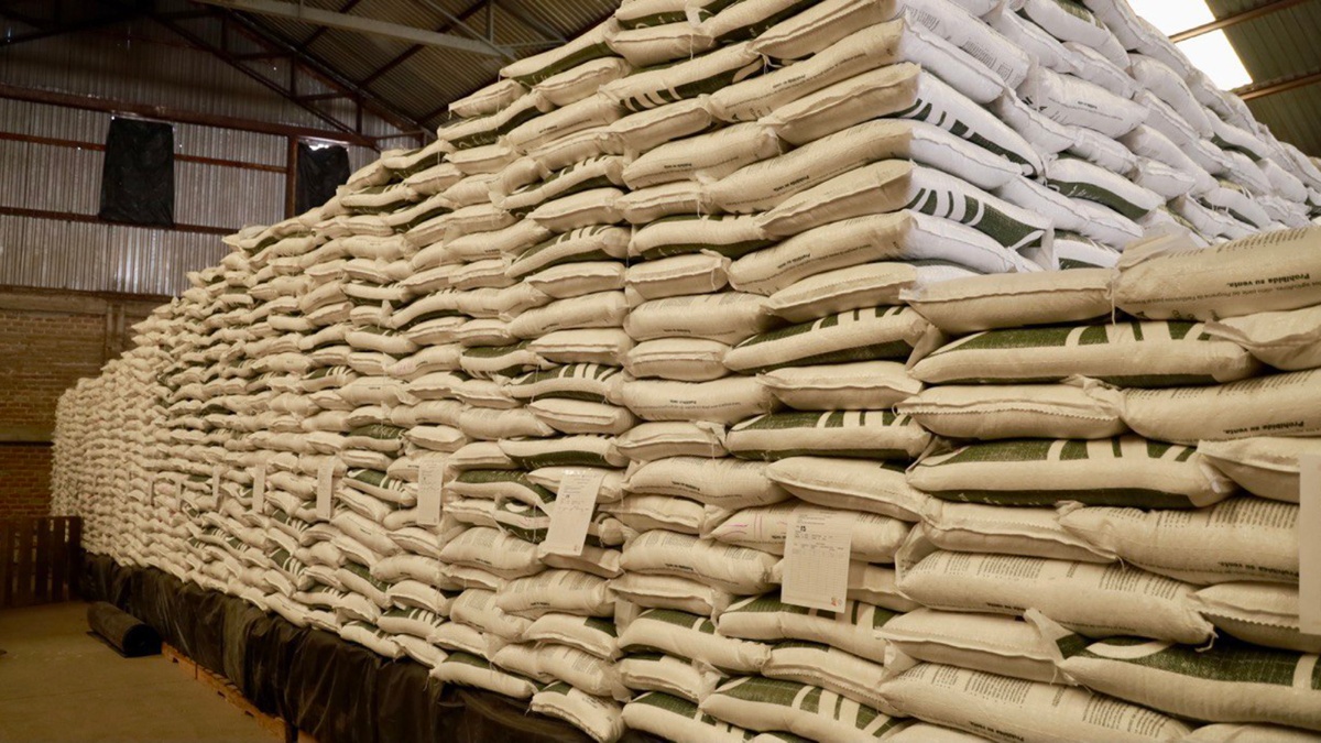 MEXICO: reporta récord en importación de fertilizantes en el primer semestre de 2024