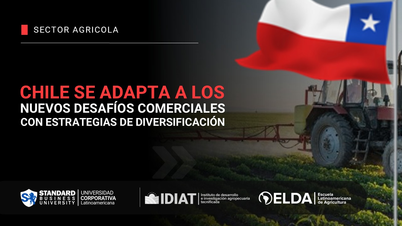 Chile se adapta a los nuevos desafíos comerciales con estrategias de diversificación