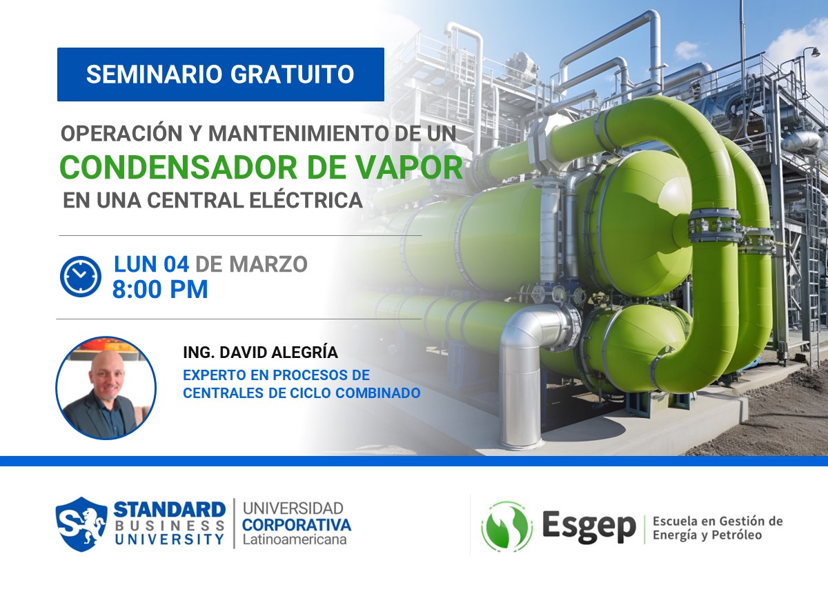 SEMINARIO ESPECIALIZADO EN OPERACIóN Y MANTENIMIENTO DE UN CONDENSADOR DE VAPOR EN UNA CENTRAL ELéCTRICA