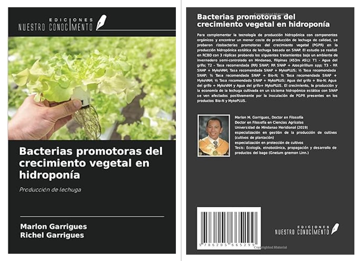 REVISTAS ESPECIALIZADO EN BACTERIAS PROMOTORAS DEL CRECIMIENTO VEGETAL EN HIDROPONíA: PRODUCCIóN DE LECHUGA