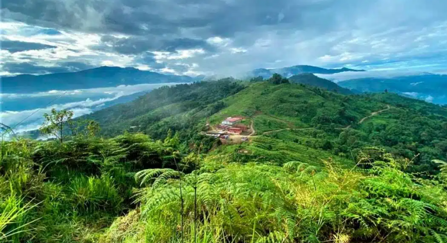 ECUADOR: Exportaciones mineras ascendieron a US$ 3.324 millones en 2023