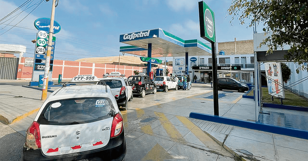 “…Aquel que vive del transporte y usa GLP está en jaque”