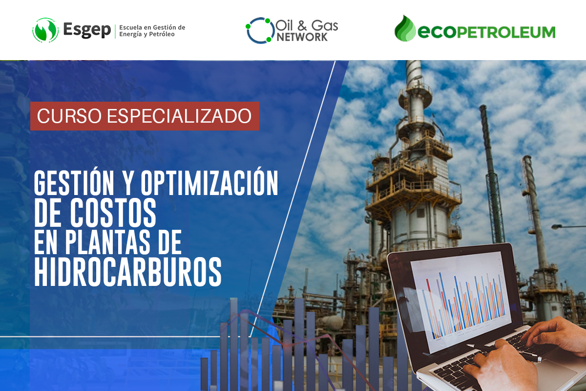 CURSO ESPECIALIZADO EN GESTIóN Y OPTIMIZACIóN DE COSTOS EN PLANTAS DE HIDROCARBUROS