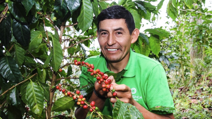 Midagri destaca que 2024 fue un año clave para el agro peruano