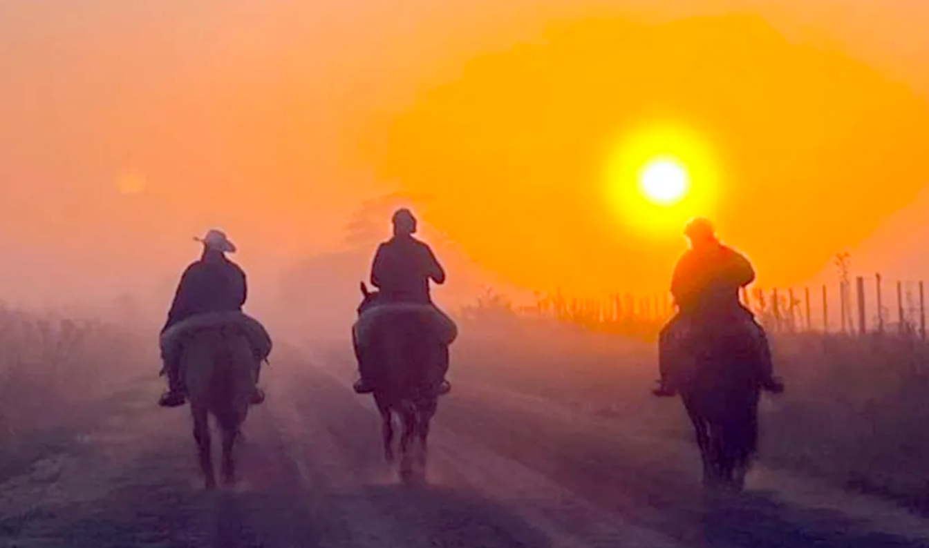 ARGENTINA: ¿Aumentó la confianza? La encuesta que refleja las expectativas económicas de los empresarios agropecuarios