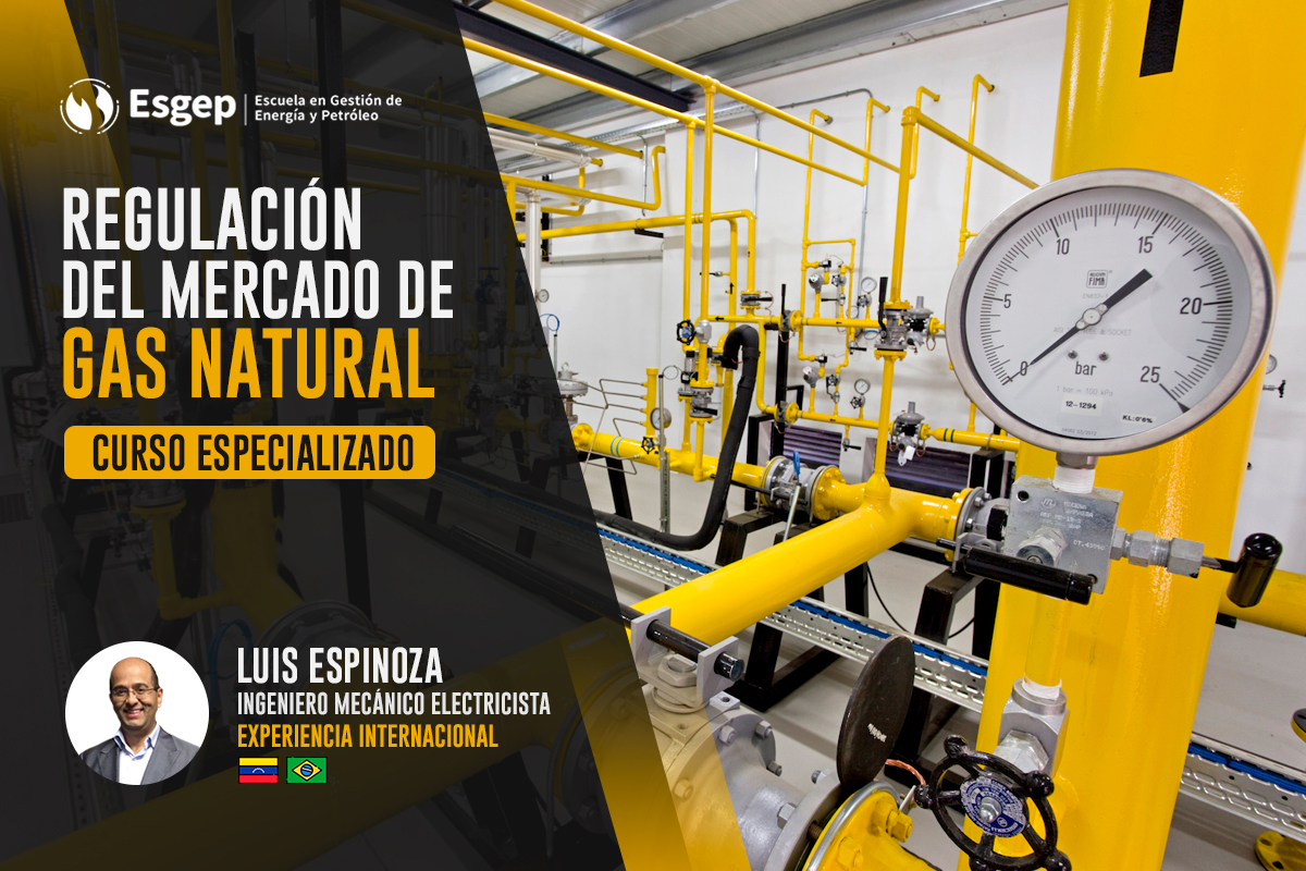 CURSO ESPECIALIZADO EN REGULACIÓN DEL MERCADO DEL GAS NATURAL