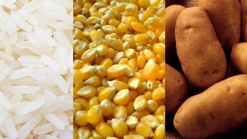 PERÚ: Producción Nacional Agropecuaria crecería 3.8% este año