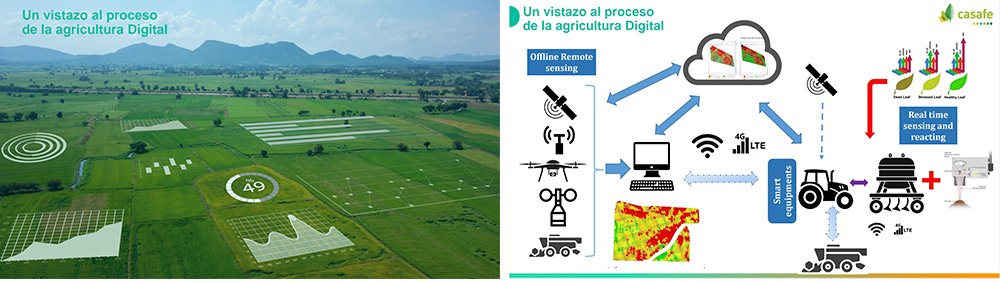 Taller de CuidAgro en Uruguay Destaca Avances en Agricultura Sostenible y Protección de Polinizadores
