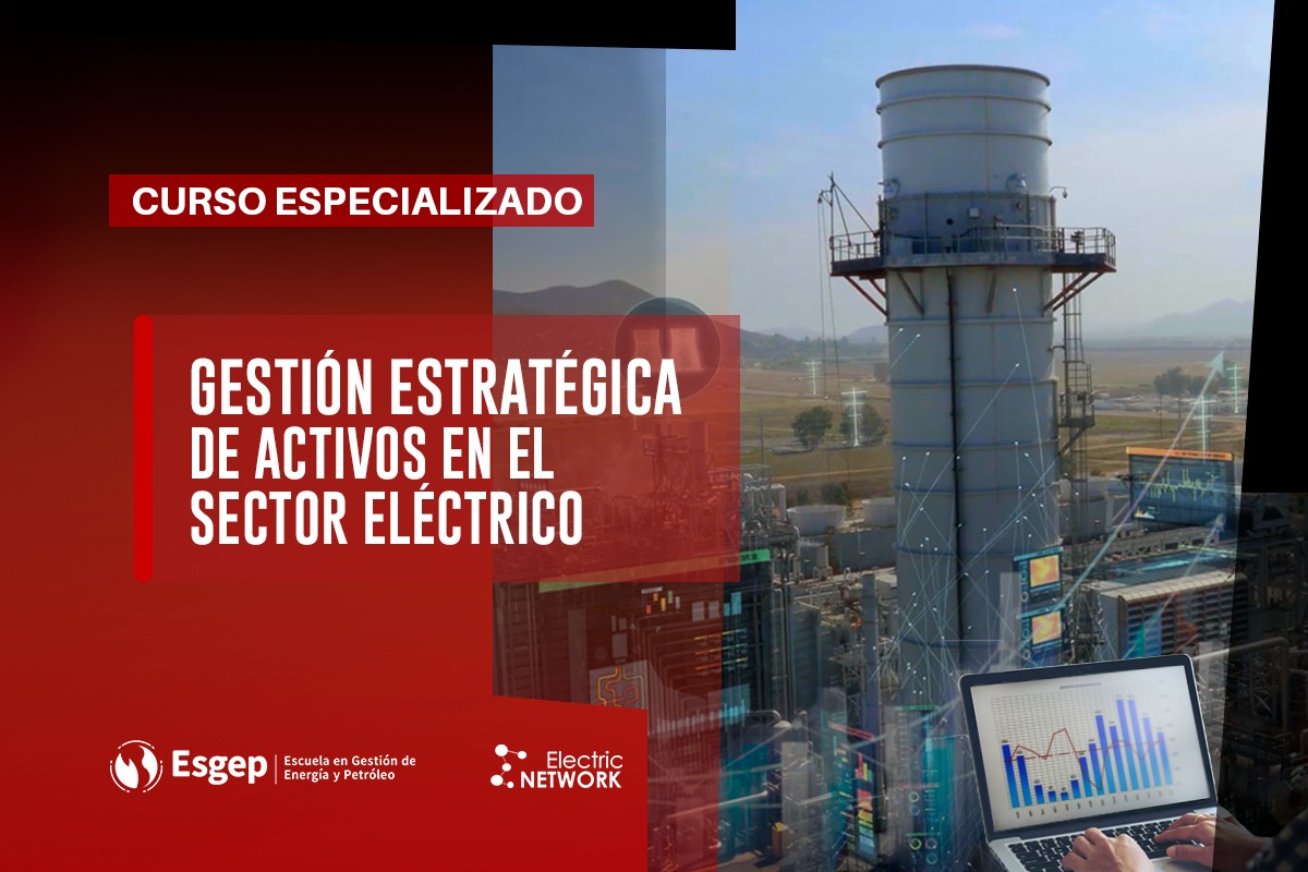 CURSO ESPECIALIZADO EN GESTIóN ESTRATéGICA DE ACTIVOS EN EL SECTOR ELéCTRICO
