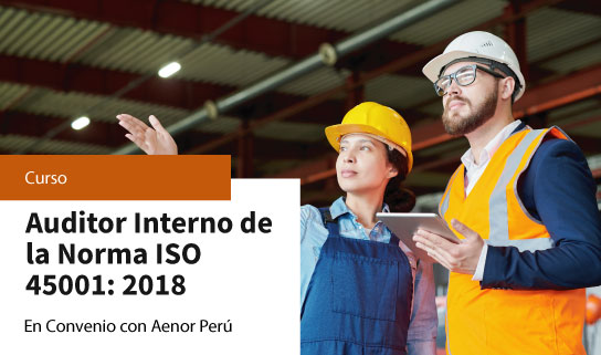 CURSO ESPECIALIZADO EN AUDITOR INTERNO DE LA NORMA ISO 45001