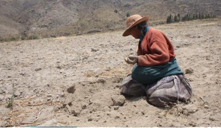 Oxfam advierte de una “profunda crisis” en la agricultura familiar en Perú