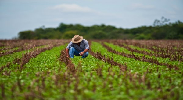 COLOMBIA: Innovación Sostenible y Responsabilidad Social, futuro del sector agropecuario