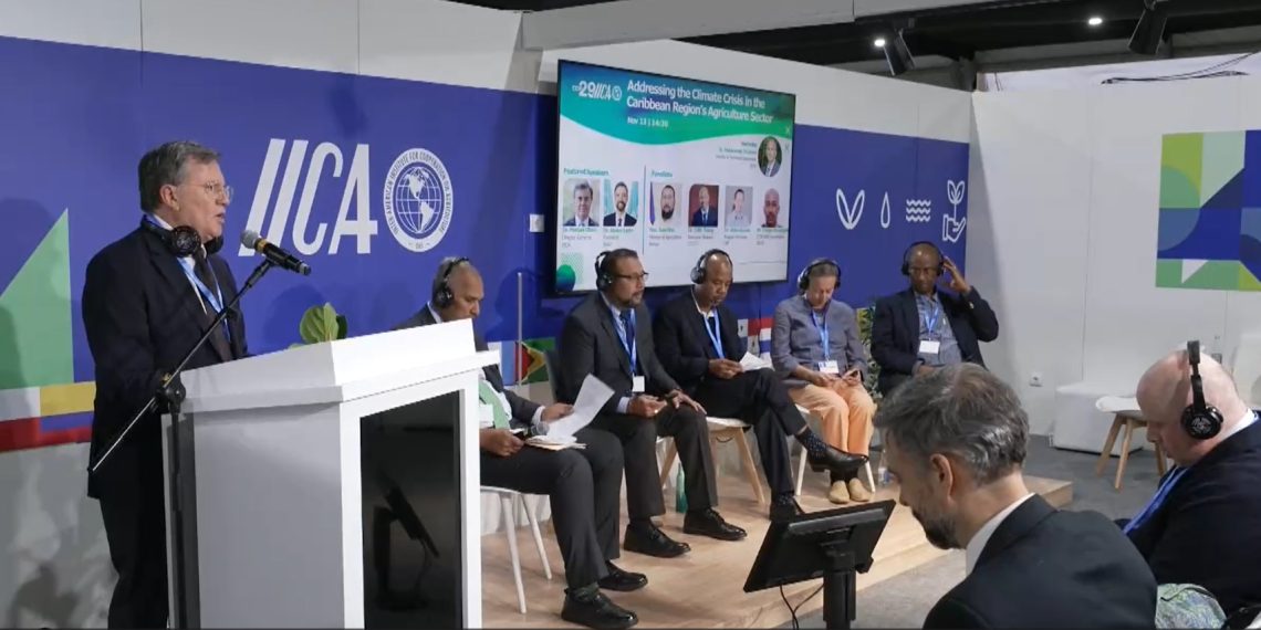 GUATEMALA: El IICA propone en COP29 fortalecer a los agricultores y aumento a sus ingresos