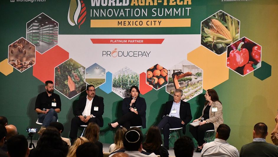 MÉXICO: Agricultura regenerativa, una solución viable a la crisis climática