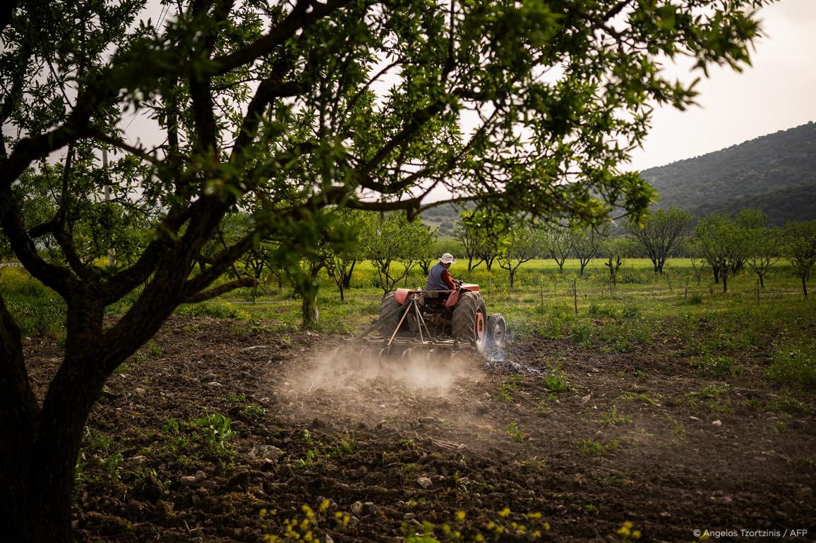 EU: El Parlamento aprueba una revisión de la política agrícola común de la UE