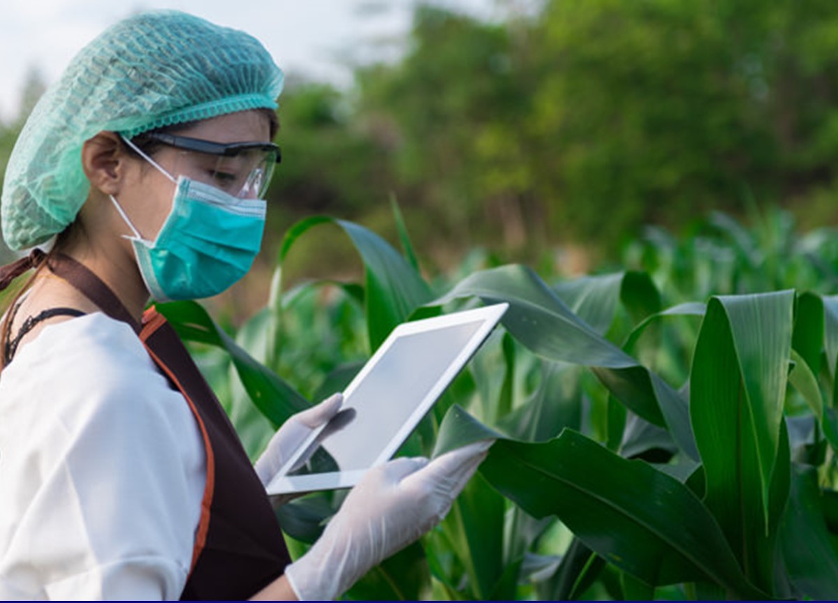 CONSULTORíAS ESPECIALIZADO EN DESARROLLO AGRíCOLA Y SEGURIDAD ALIMENTARIA