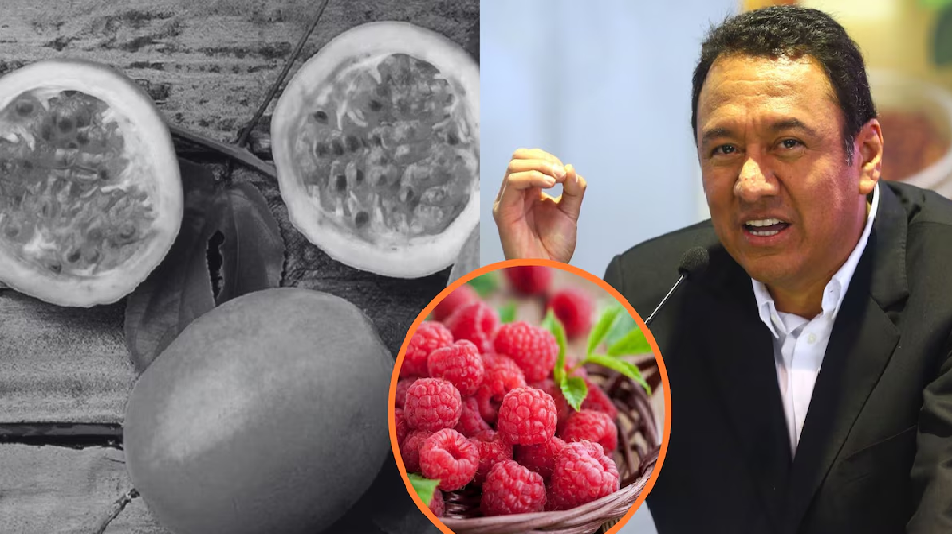 PERÚ: “Paremos la siembra de maracuyá”: Midagri sorprende con petición a los agricultores y les sugiere producir frambuesas
