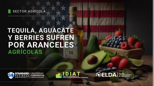 Tequila, aguacate y berries, los más afectados por aranceles agrícolas
