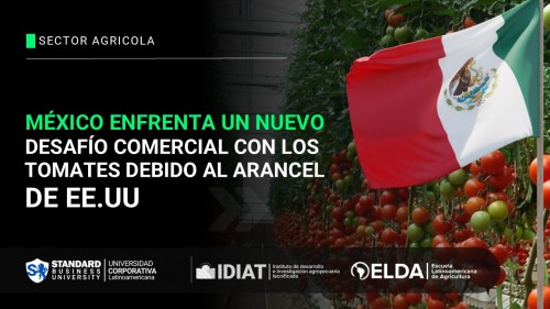 México enfrenta un nuevo desafío comercial con los tomates debido al arancel de EE.UU