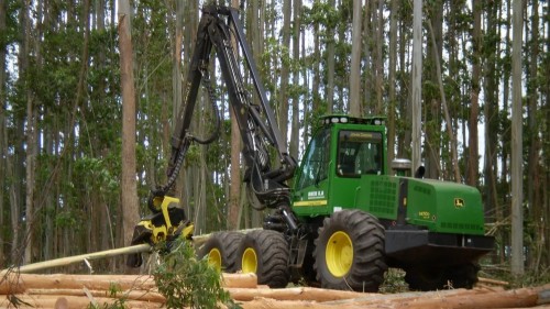 Desde que se aprobó la ley forestal la superficie con bosques plantados en Uruguay creció un 600%