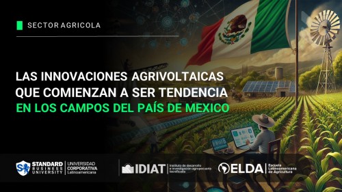 Las innovaciones agrivoltaicas que comienzan a ser tendencia en los campos del país