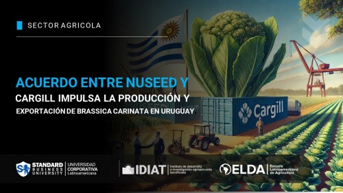 Acuerdo entre Nuseed y Cargill impulsa la producción y exportación de brassica carinata en Uruguay