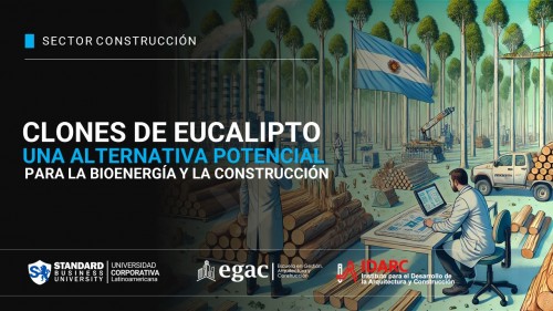 Industria forestal: clones de eucalipto, una alternativa con potencial para la bioenergía y la construcción