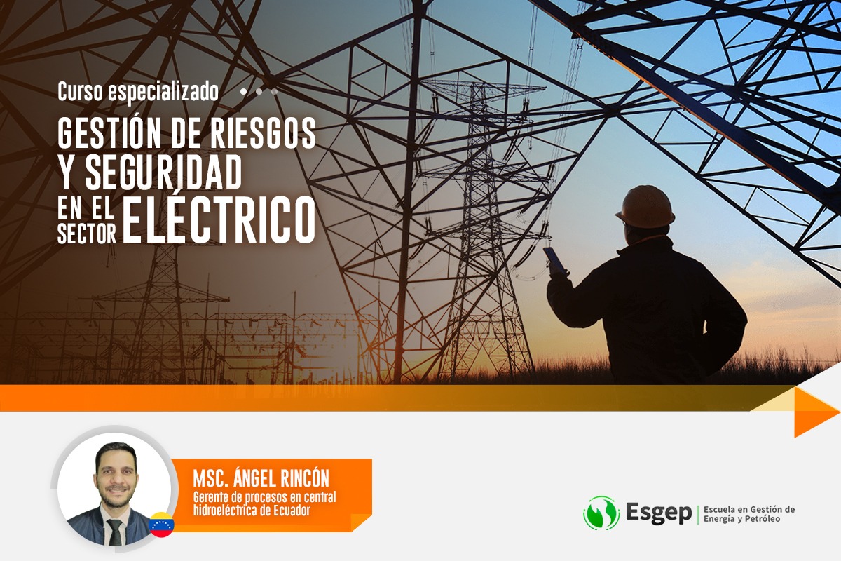CURSO ESPECIALIZADO EN GESTIóN DE RIESGOS Y SEGURIDAD EN EL SECTOR ELéCTRICO