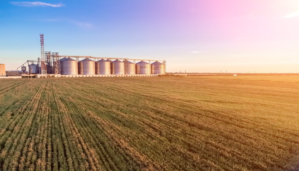 De los 10 principales complejos exportadores, 7 son agroindustriales y están perdiendo competitividad con Brasil