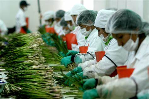 MÉXICO: De México para el mundo: el legado del campo mexicano que enriquece el sector agroalimentario