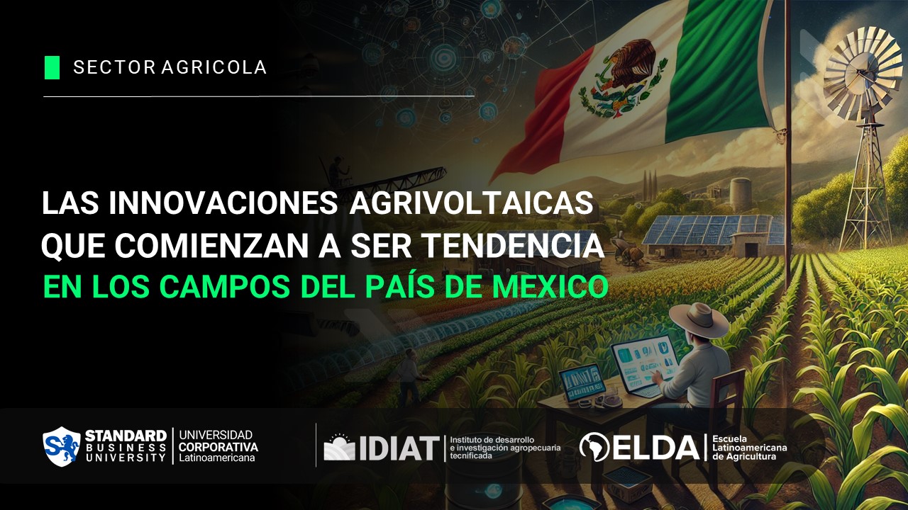 Las innovaciones agrivoltaicas que comienzan a ser tendencia en los campos del país