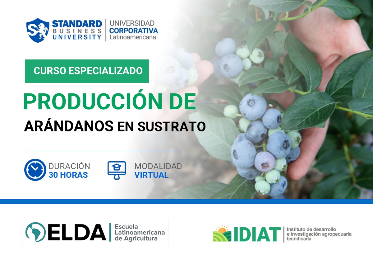 CURSO ESPECIALIZADO EN PRODUCCIóN DE ARáNDANOS EN SUSTRATO