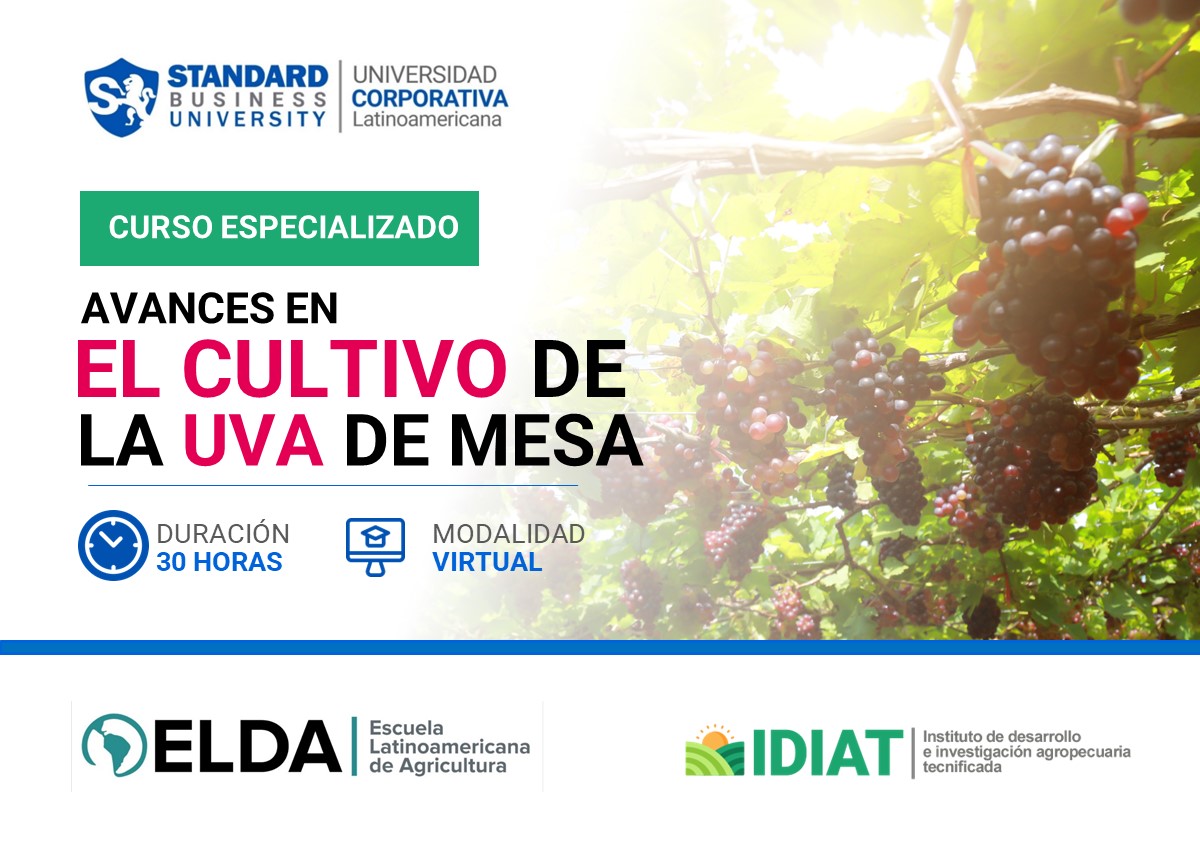 CURSO ESPECIALIZADO EN AVANCES EN EL CULTIVO DE LA UVA DE MESA