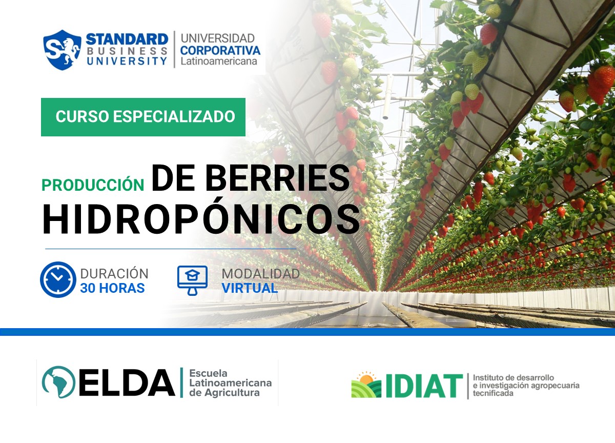 CURSO ESPECIALIZADO EN  PRODUCCIóN DE BERRIES HIDROPóNICOS