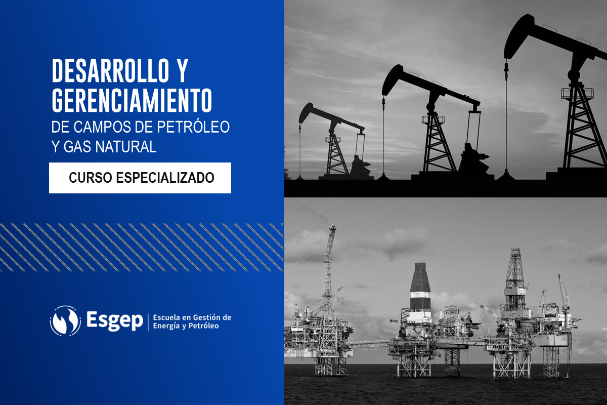 CURSO ESPECIALIZADO EN DESARROLLO Y GERENCIAMIENTO DE CAMPOS DE PETRóLEO Y GAS NATURAL 