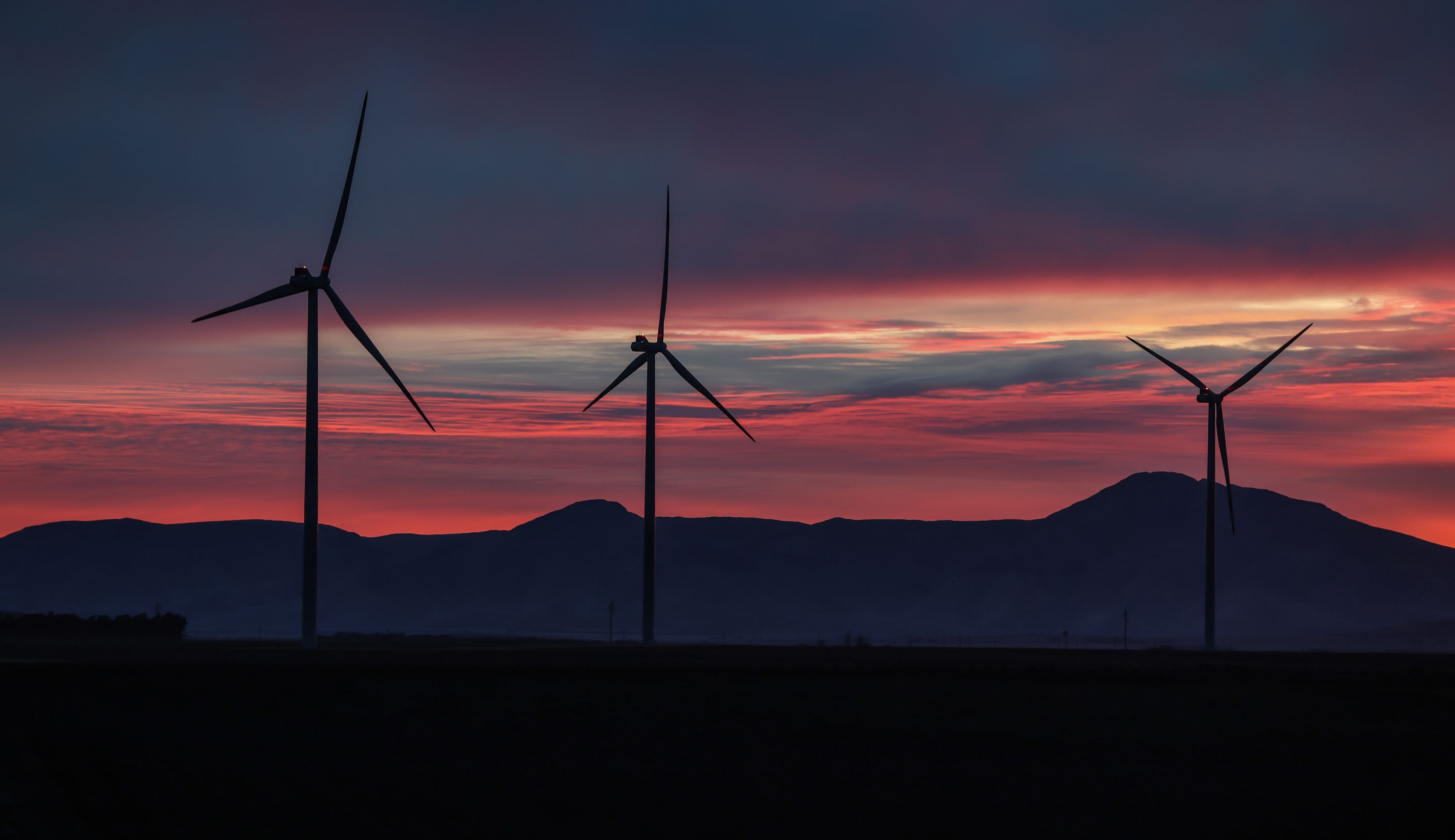 ARGENTINA: Crece la demanda por energías renovables: por qué cada vez más empresas las buscan