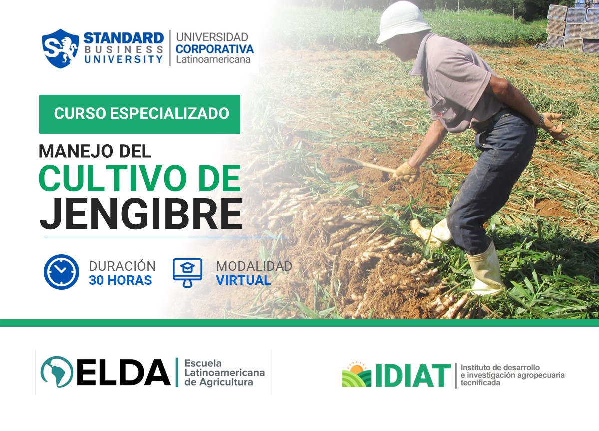 CURSO ESPECIALIZADO EN MANEJO DEL CULTIVO DE JENGIBRE